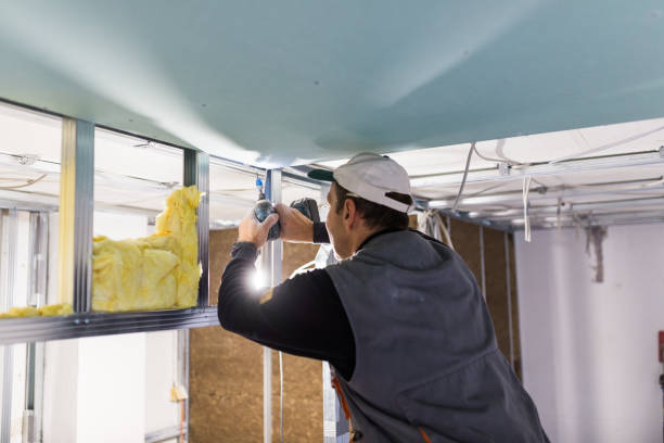 Best Specialized Insulation Services in Blue Ridge, VA